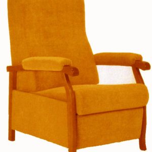 Fauteuil relax manuel Bouvreuil